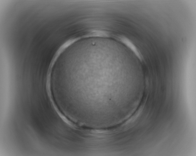 X0000114121379200910131354