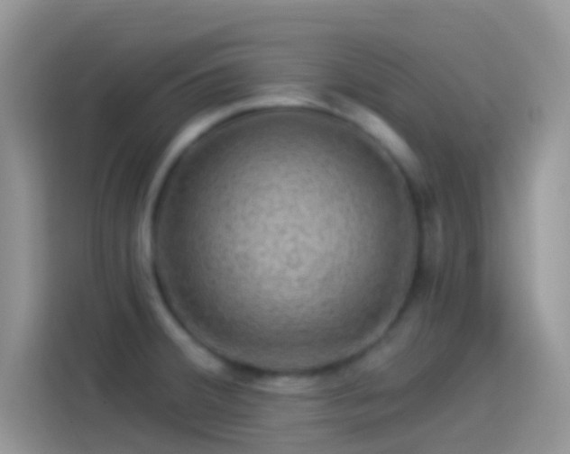 X0000114121380200910131354