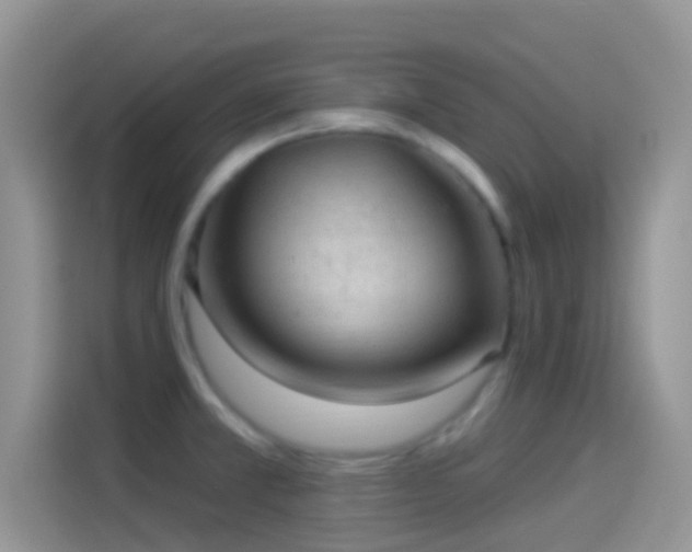 X0000114121381200910131354