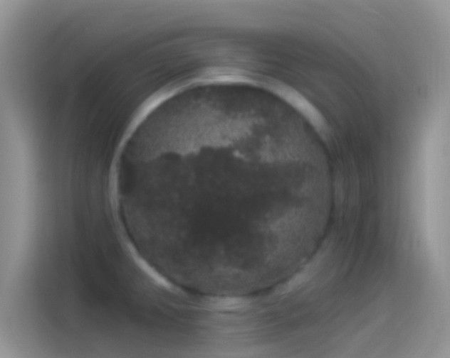 X0000114121382200910131354