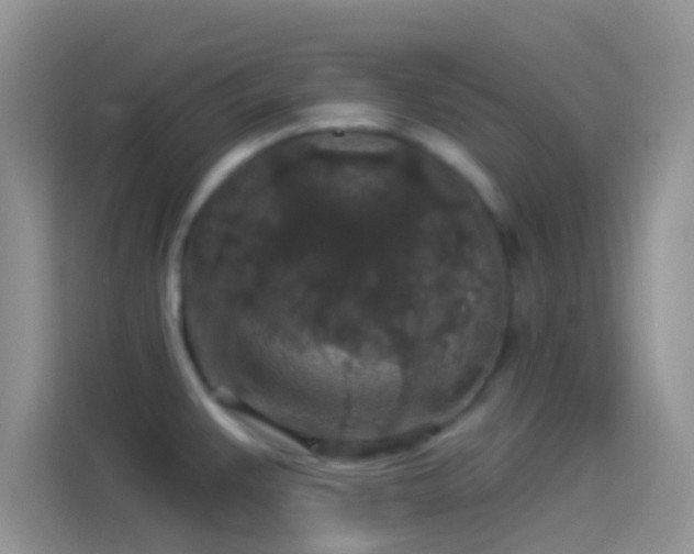 X0000114121383200910131354