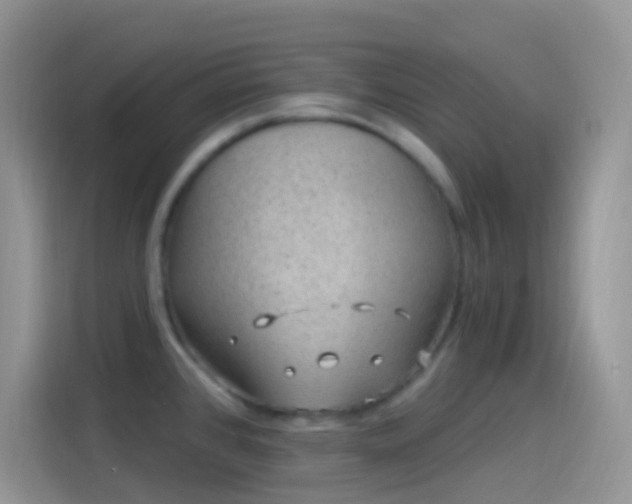 X0000114121384200910131354