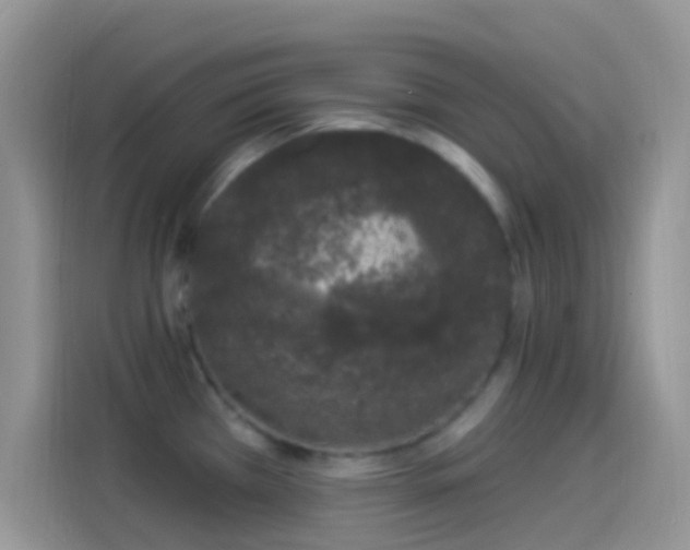 X0000114121385200910131354