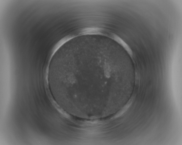 X0000114121386200910131354