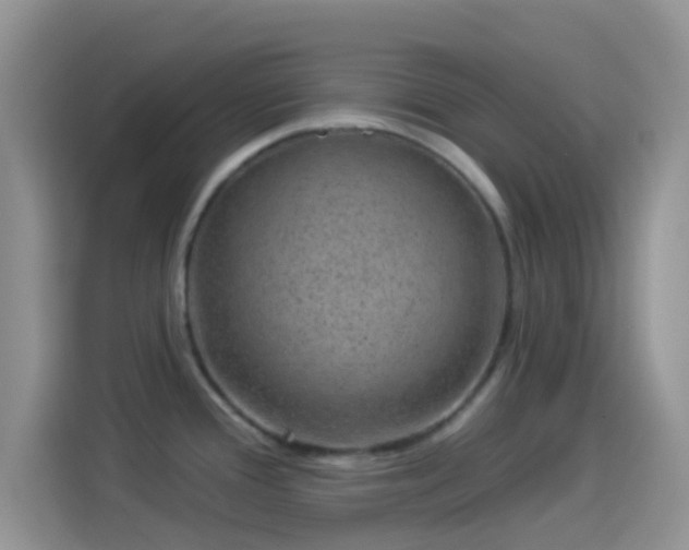 X0000114121388200910131354