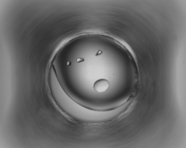 X0000114121389200910131354