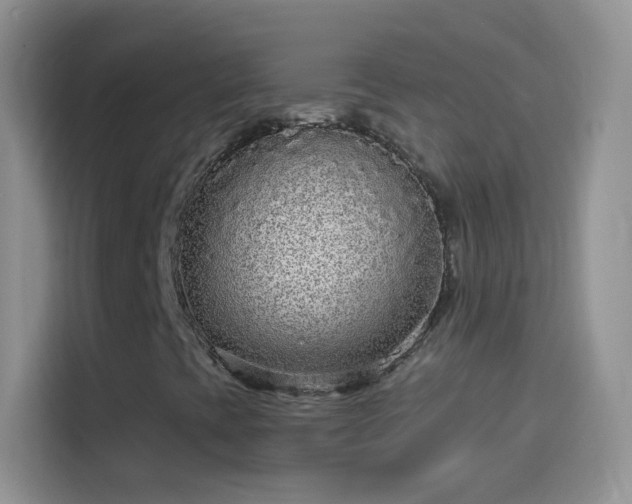 X0000114121393200910131353