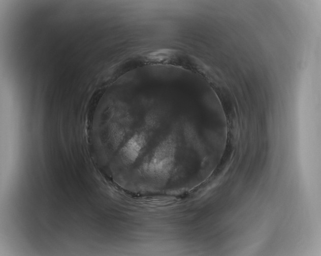 X0000114121394200910131353