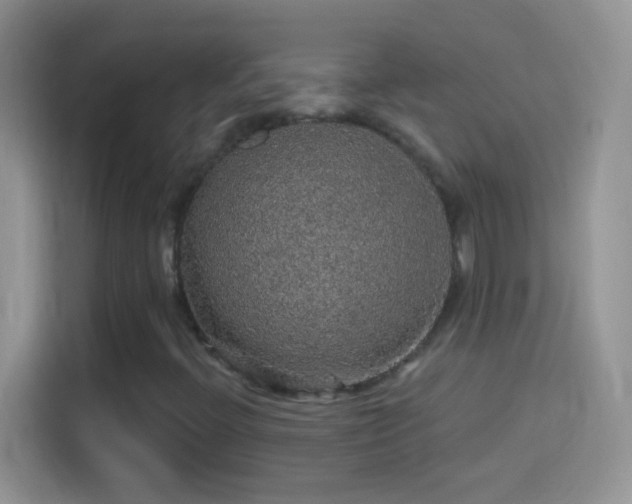 X0000114121396200910131353