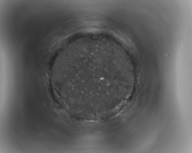 X0000114121397200910131353