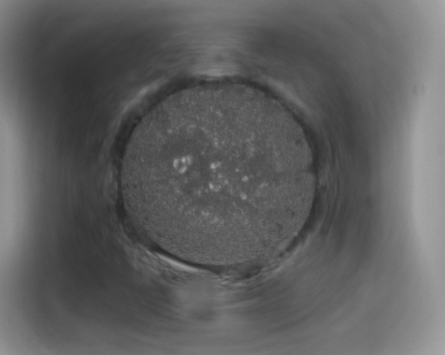 X0000114121398200910131353