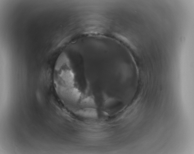 X0000114121399200910131353