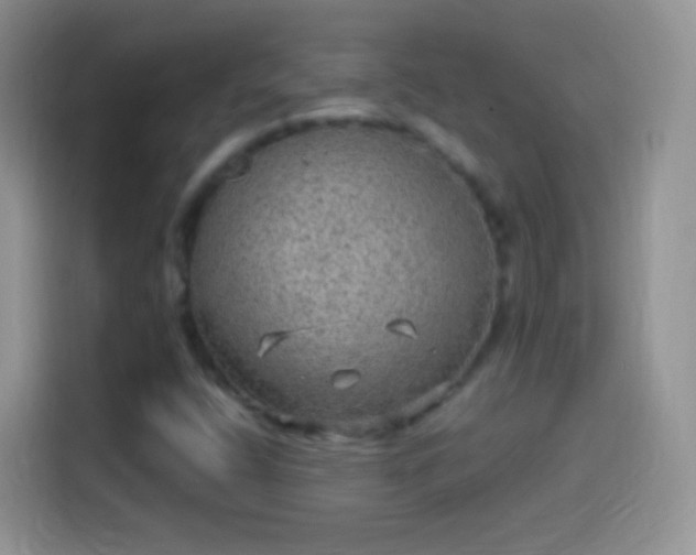 X0000114121400200910131353