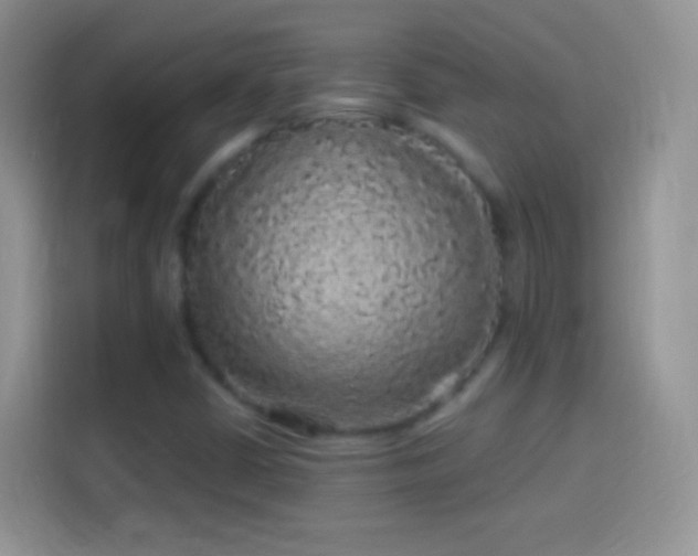 X0000114121402200910131353