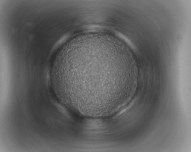 X0000114121403200910131353