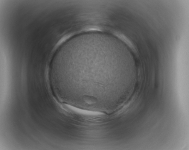 X0000114121404200910131353