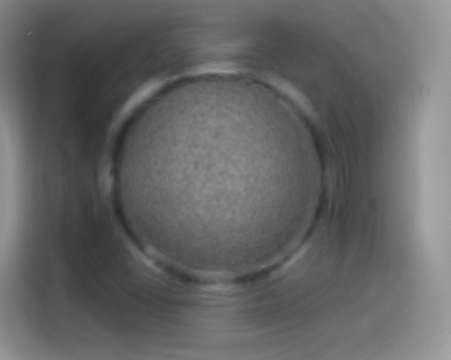 X0000114121406200910131353