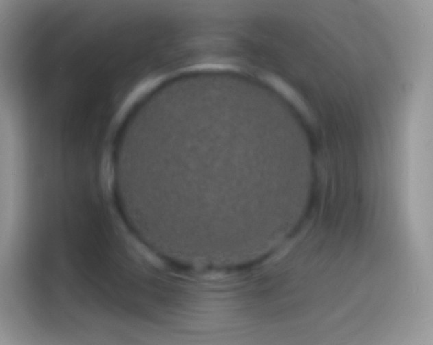 X0000114121408200910131353