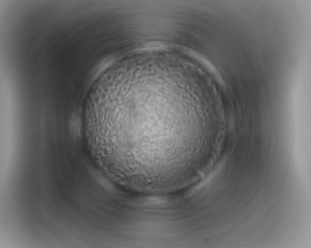 X0000114121409200910131353