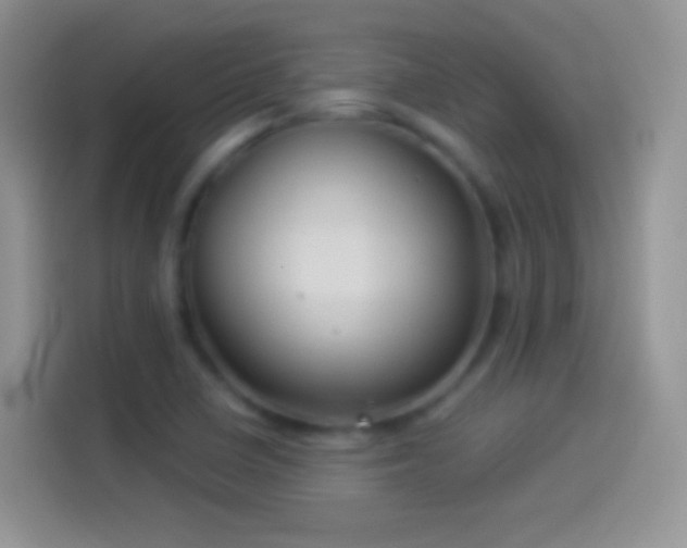 X0000114121410200910131353