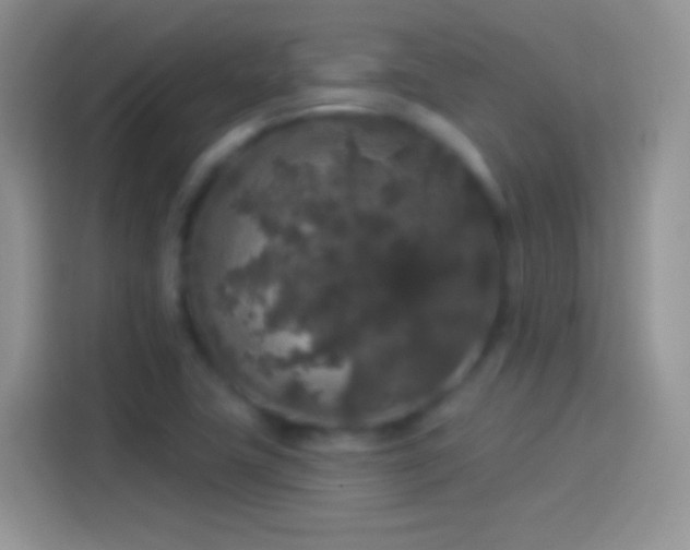 X0000114121411200910131354