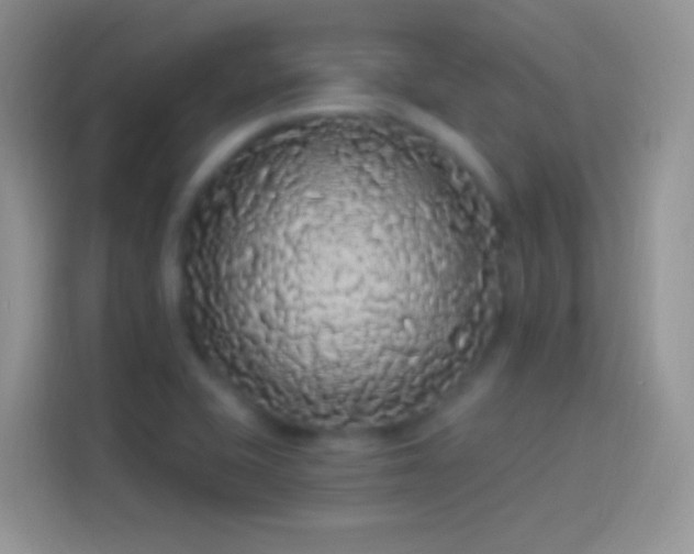 X0000114121415200910131354