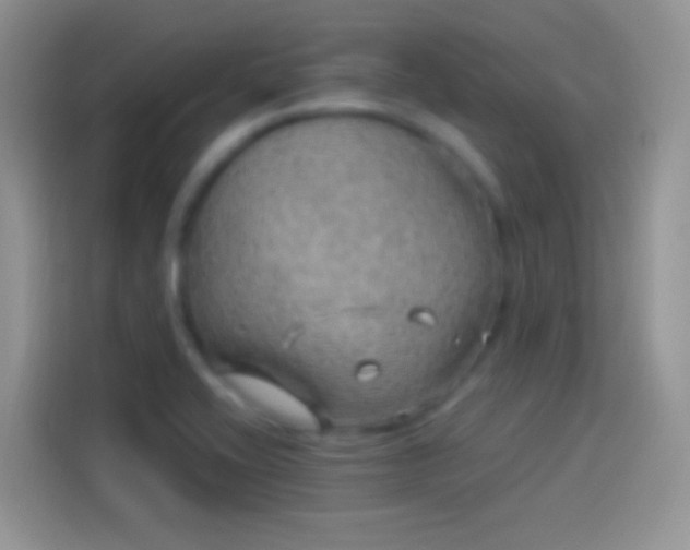 X0000114121416200910131354