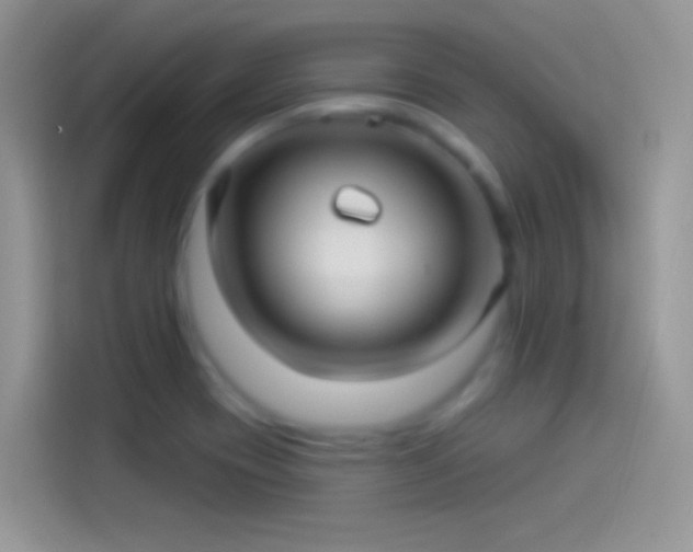 X0000114121417200910131354