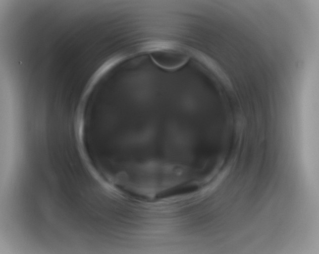 X0000114121418200910131354