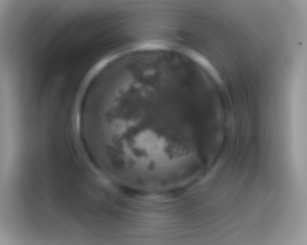 X0000114121419200910131354