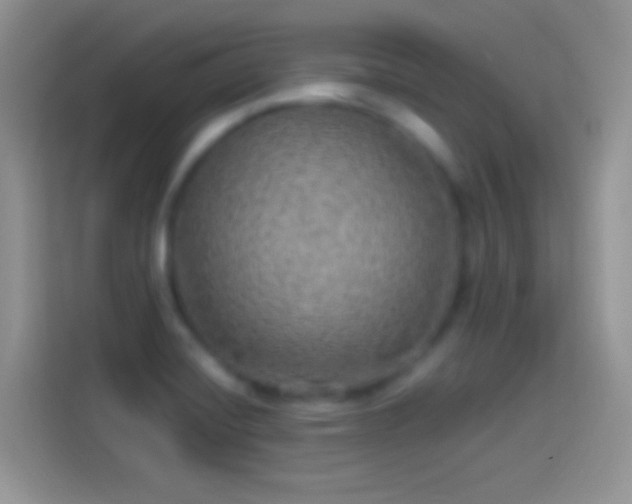 X0000114121420200910131354