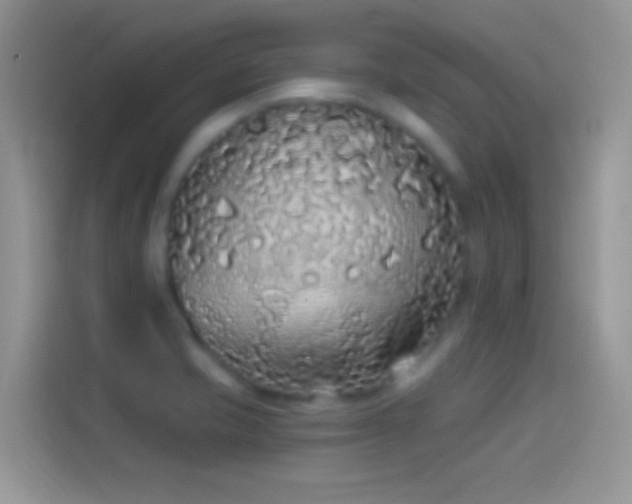 X0000114121421200910131354