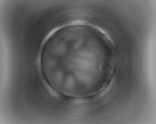 X0000114121422200910131354