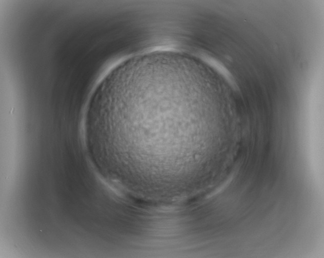 X0000114121423200910131354