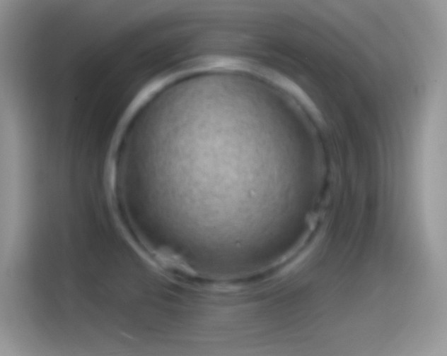 X0000114121424200910131354