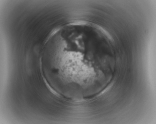 X0000114121425200910131354