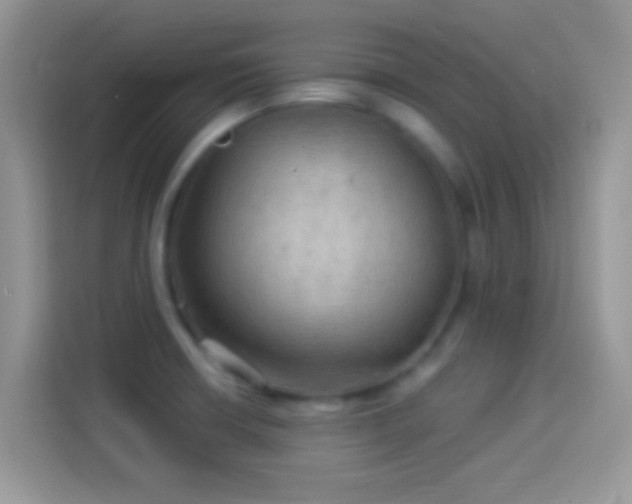 X0000114121426200910131354