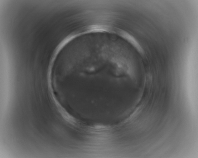 X0000114121427200910131354