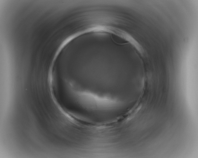 X0000114121428200910131354