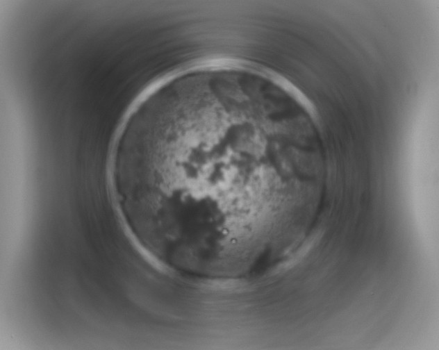 X0000114121429200910131354