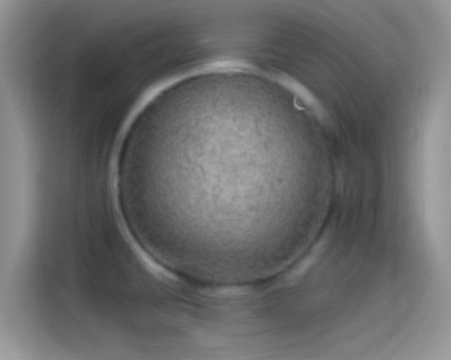 X0000114121430200910131354