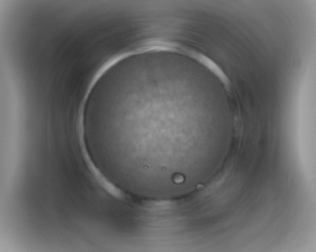 X0000114121431200910131354