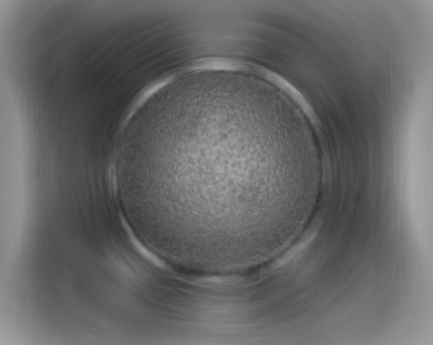 X0000114121433200910131354