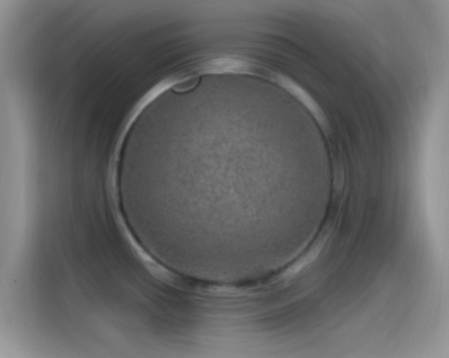 X0000114121434200910131354