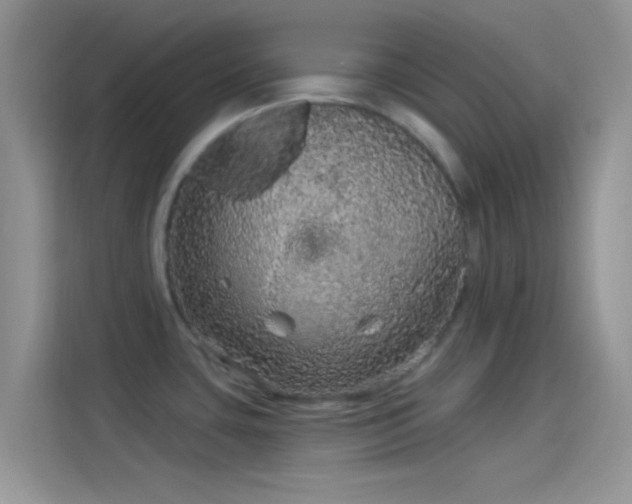 X0000114121435200910131354