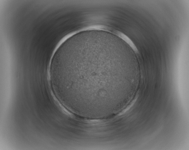 X0000114121436200910131354