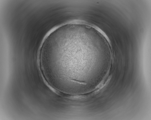 X0000114121437200910131354