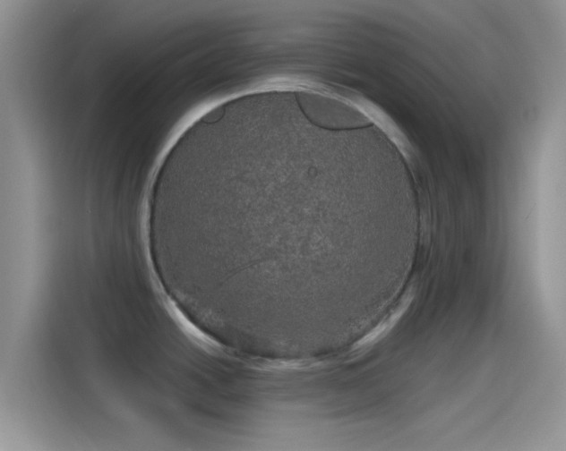 X0000114121438200910131354