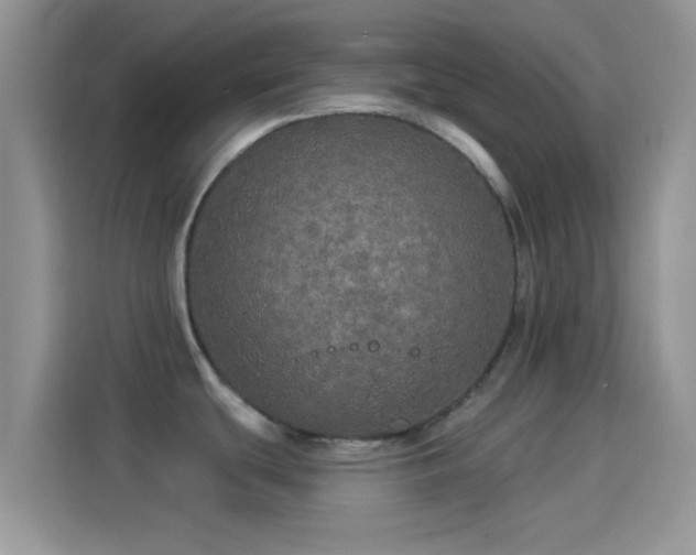 X0000114121439200910131354