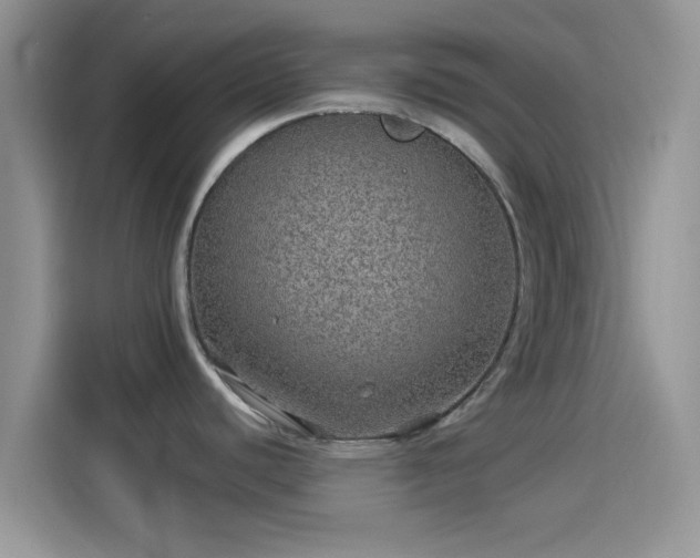 X0000114121440200910131354